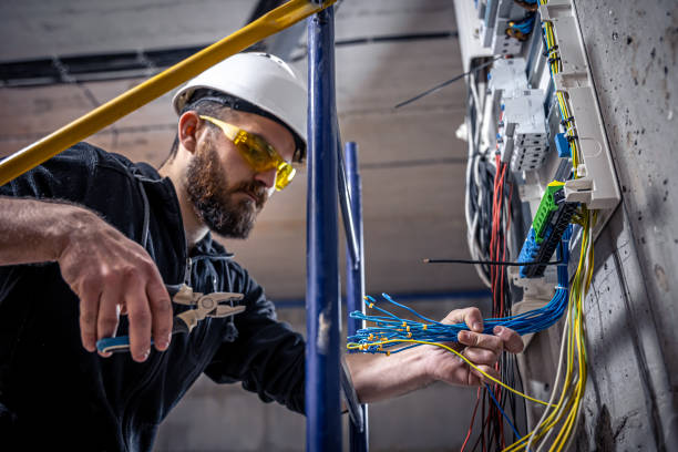 Best Electrical System Inspection  in Donaldsonville, LA
